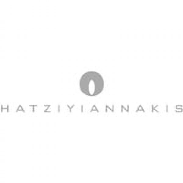 hatziyiannakis3